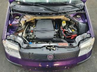 Fiat Panda  picture 12