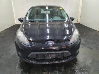 Ford Fiesta  picture 20