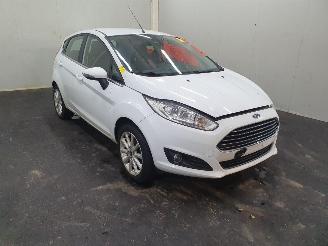 Auto da rottamare Ford Fiesta 1.0 EcoBoost Titanium 2016/3