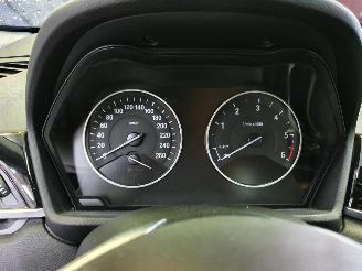 BMW X1 F48 XDrive 20d picture 21
