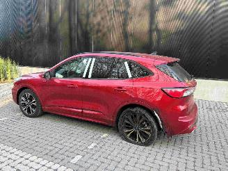 Ford Kuga 2.5 PHEV picture 3