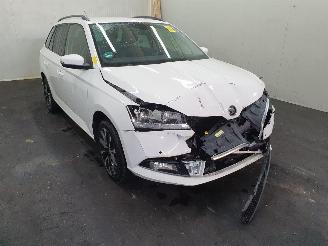 Sloopauto Skoda Fabia NJ 1.0TSI Business Edition 2020/6