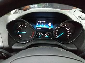 Ford Focus C-Max  picture 18