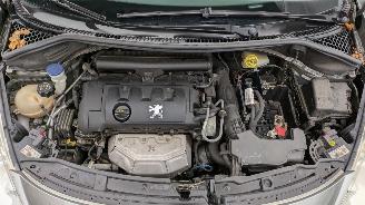 Peugeot 207 KTN picture 16