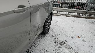 Volkswagen Golf Sportsvan 2.0 TDI DSG picture 24