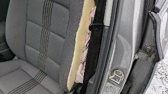 Volkswagen Golf Sportsvan 2.0 TDI DSG picture 25