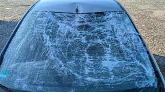 Mazda 2 1.3 picture 20