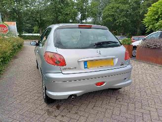 Peugeot 206 1.4 Quiksilver picture 16