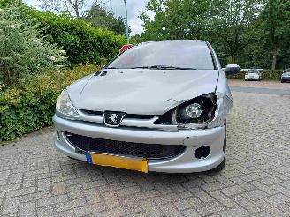 Peugeot 206 1.4 Quiksilver picture 19