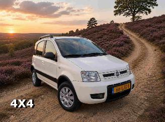 ocasión turismos Fiat Panda 1.2 Climbing 4x4 2010/4