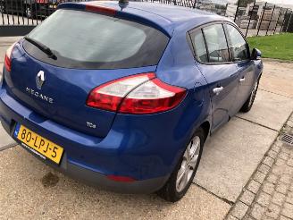 Renault Mégane 2.0tce 132kW 5 drs picture 4