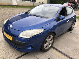 Renault Mégane 2.0tce 132kW 5 drs picture 2