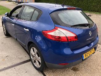 Renault Mégane 2.0tce 132kW 5 drs picture 5