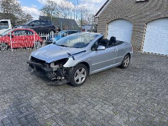 krockskadad bil auto Peugeot 307  2005/3