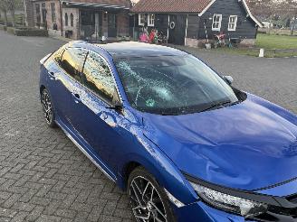 Honda Civic Executive / Panorama / Automaat picture 5