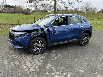  Mercedes EQA 71KWH EQA 250+ LUXURY LINE / Pano / Leer 2025/1