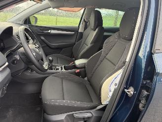 Skoda Karoq Ambition TSI picture 6