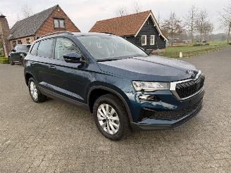 Skoda Karoq Ambition TSI picture 2