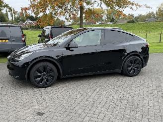 škoda osobní automobily Tesla Model Y Long range 75 kWh / Panorama / Leer 2024/12