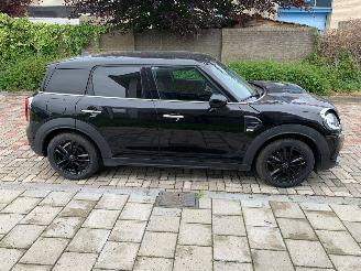 Mini Countryman  picture 7