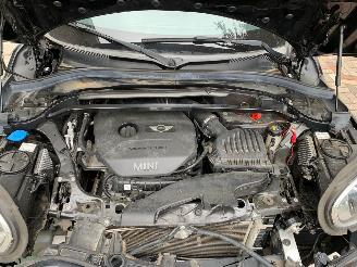 Mini Countryman  picture 11