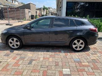 Renault Mégane  picture 7
