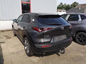 Mazda CX-30 CX-30 (DM), SUV, 2019 1.8 Skyactiv D 116 16V picture 3