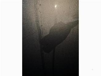 Toyota Avensis Avensis Wagon (T27), Combi, 2008 / 2018 2.2 16V D-4D-F 180 picture 20