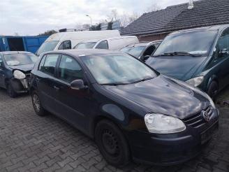 Volkswagen Golf Golf V (1K1), Hatchback, 2003 / 2010 1.4 16V picture 8