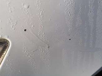 Mitsubishi Colt Colt (Z2/Z3), Hatchback, 2004 / 2012 1.1 12V picture 17