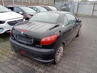 Peugeot 206 206 CC (2D), Cabrio, 2000 / 2007 1.6 16V picture 5