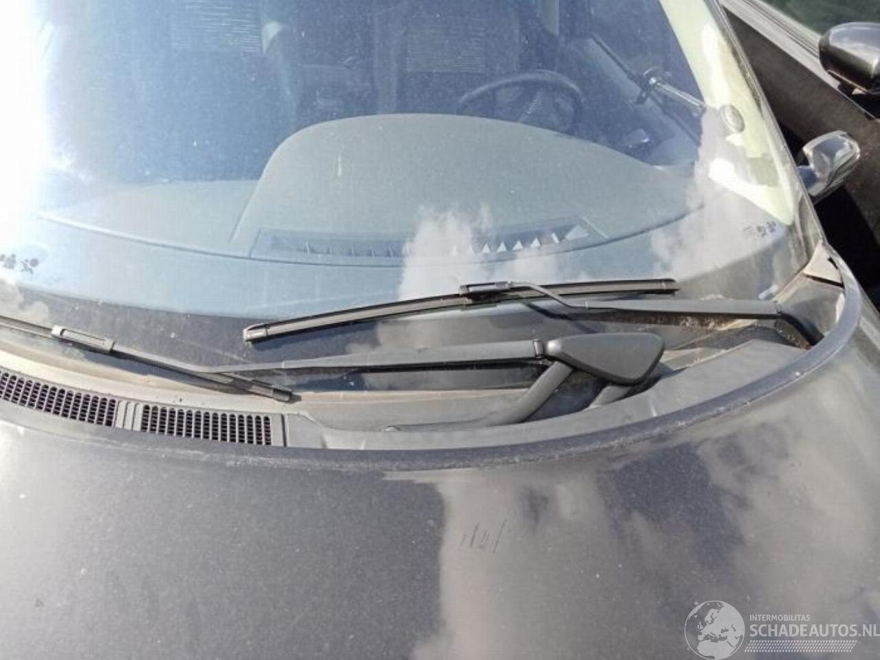 Renault Grand-scenic Grand Scenic II (JM), MPV, 2004 / 2009 2.0 16V