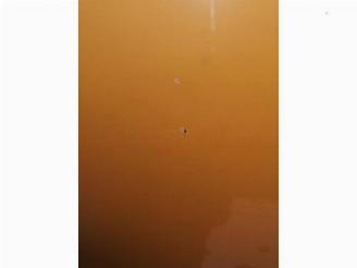 Volkswagen Beetle New Beetle (9C1/9G1), Hatchback 3-drs, 1998 / 2010 2.0 picture 18