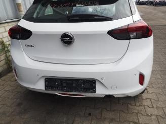 Opel Corsa Corsa F (UB/UH/UP), Hatchback 5-drs, 2019 1.5 CDTI 100 picture 10