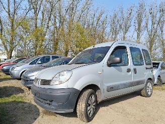 Sloopauto Renault Kangoo 1.2-16V Authentique 2008/9