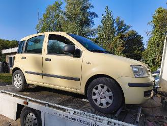 disassembly passenger cars Fiat Panda 1.2 Active 2010/7