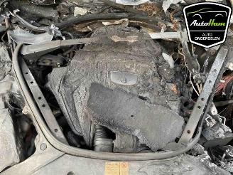 Porsche Panamera Panamera (971G), Liftback, 2016 / 2023 3.0 V6 24V picture 16
