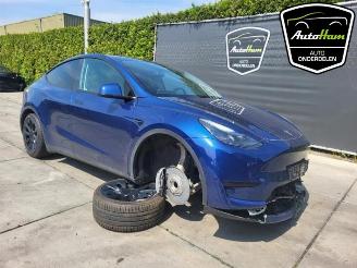 Tesla Model Y Model Y (5YJY), SUV, 2019 Long Range 72kWh picture 2