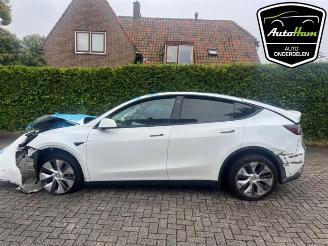 Sloopauto Tesla Model Y Model Y (5YJY), SUV, 2019 Long Range 72kWh 2023/1