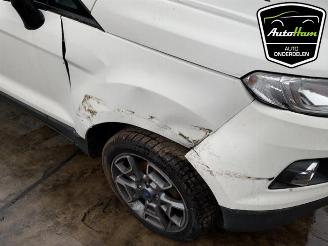 Ford EcoSport EcoSport (JK8), SUV, 2013 1.0 EcoBoost 12V 125 picture 17
