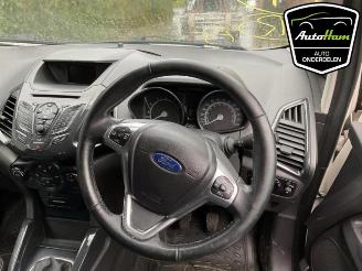 Ford EcoSport  picture 15