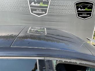 Volkswagen Golf Golf VIII (CD1), Hatchback, 2019 2.0 TSI R 16V 4Motion picture 20