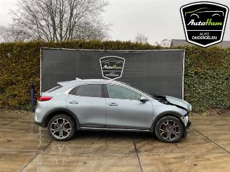 Coche siniestrado Kia Xceed Xceed, SUV, 2019 1.0 T-GDi 12V 2022/7