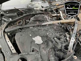 Porsche Panamera Panamera (971G), Liftback, 2016 / 2023 2.9 V6 24V 4 E-Hybrid picture 20