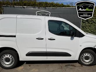 Opel Combo Combo Cargo, Van, 2018 1.5 CDTI 100 picture 9