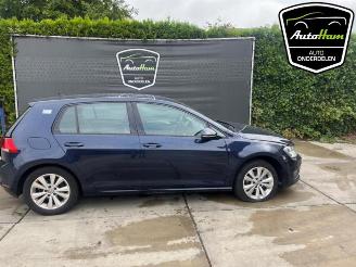 Sloopauto Volkswagen Golf Golf VII (AUA), Hatchback, 2012 / 2021 1.6 TDI BlueMotion 16V 2017/2