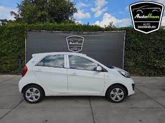 Vrakbiler auto Kia Picanto Picanto (TA), Hatchback, 2011 / 2017 1.0 12V 2013/10