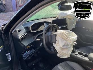 Peugeot 2008 2008 (UD/UK/UR/US/UX), MPV, 2019 1.2 VTi 12V PureTech 100 picture 9