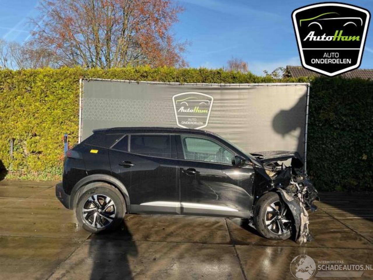 Peugeot 2008 2008 (UD/UK/UR/US/UX), MPV, 2019 1.2 VTi 12V PureTech 100