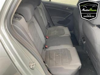 Volkswagen Golf Golf VII (AUA), Hatchback, 2012 / 2021 2.0 TDI 150 16V picture 23